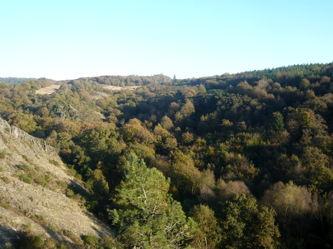 brocéliande Val sans Retour