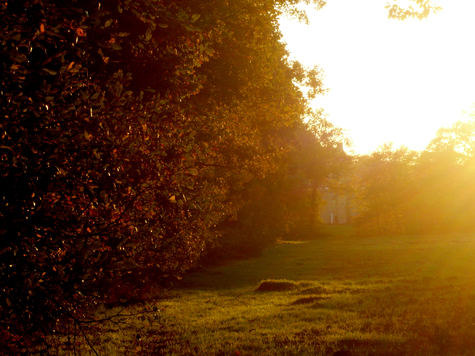 Tours and hikes in the legendary forest of Broceliande (Brittany, France)