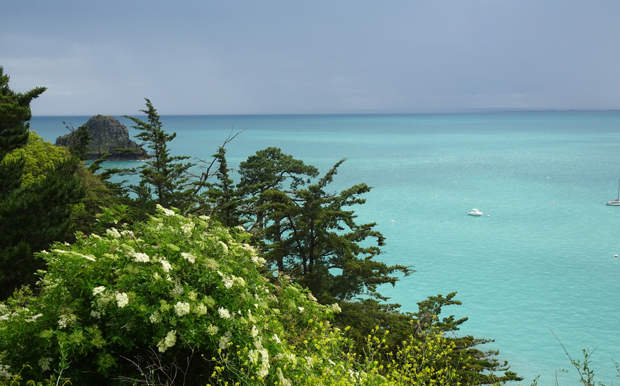 Excursions en Bretagne, pédestres ou avec transport (ici Cancale)